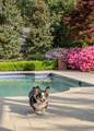 606 Boundary Avenue - Photo 84