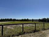 06 Shaws Fork Road - Photo 2