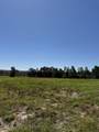 06 Shaws Fork Road - Photo 3