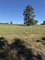 06 Shaws Fork Road - Photo 5