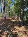 06 Shaws Fork Road - Photo 6