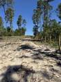 06 Shaws Fork Road - Photo 7