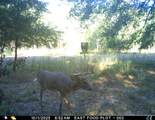 7901 Ashleigh Road - Photo 48