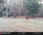 7901 Ashleigh Road - Photo 61