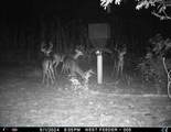7901 Ashleigh Road - Photo 86
