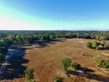 65 Acres Wagener Road - Photo 2