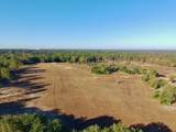 65 Acres Wagener Road - Photo 3