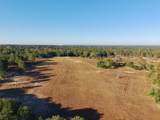 65 Acres Wagener Road - Photo 4