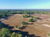 65 Acres Wagener Road - Photo 8