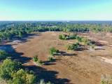 65 Acres Wagener Road - Photo 9