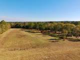 77 Acres Wagener Road - Photo 15