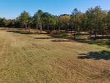 77 Acres Wagener Road - Photo 16