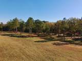 77 Acres Wagener Road - Photo 17