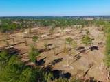77 Acres Wagener Road - Photo 20
