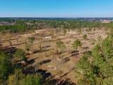 77 Acres Wagener Road - Photo 21