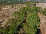 77 Acres Wagener Road - Photo 22