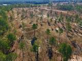 77 Acres Wagener Road - Photo 24