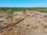 77 Acres Wagener Road - Photo 28