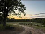 2300 Salley Road - Photo 99
