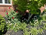 140 Fitzsimmons Drive - Photo 3