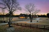 215 Filly Drive - Photo 5