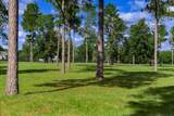 215 Filly Drive - Photo 65