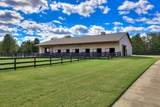 215 Filly Drive - Photo 49