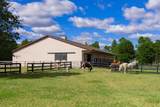 215 Filly Drive - Photo 66