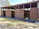 1753 Silver Bluff Road - Photo 37