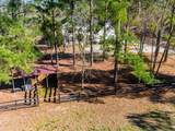 1753 Silver Bluff Road - Photo 46