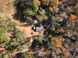 1081 Bamboo Lane - Photo 10