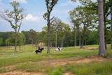 793 Flowing Well Road - Photo 50