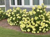 8285 Covert Drive - Photo 19