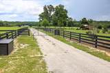 637 Dixie Road - Photo 9