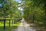 1107 &1105 Gray Mare Hollow Road - Photo 77