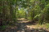 1107 &1105 Gray Mare Hollow Road - Photo 82