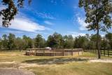 707 Paddock Club Parkway - Photo 42