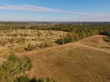 77 Acres Wagener Road - Photo 11