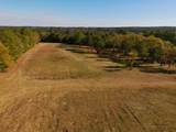 77 Acres Wagener Road - Photo 13