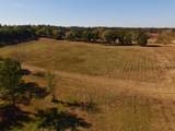 77 Acres Wagener Road - Photo 14