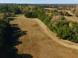 77 Acres Wagener Road - Photo 6