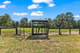 613 Dressage Court - Photo 52