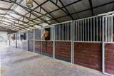 613 Dressage Court - Photo 59