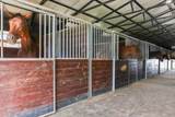 613 Dressage Court - Photo 60