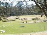 356 Fairway Road - Photo 56