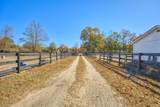 205 Bridle Creek Trail - Photo 48