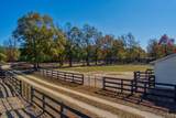 205 Bridle Creek Trail - Photo 50