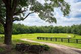 2300 Salley Road - Photo 5