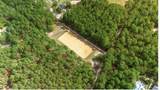 463 Anderson Pond Road - Photo 97