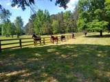 1753 Silver Bluff Road - Photo 50